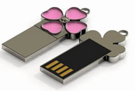 cl USB fleur